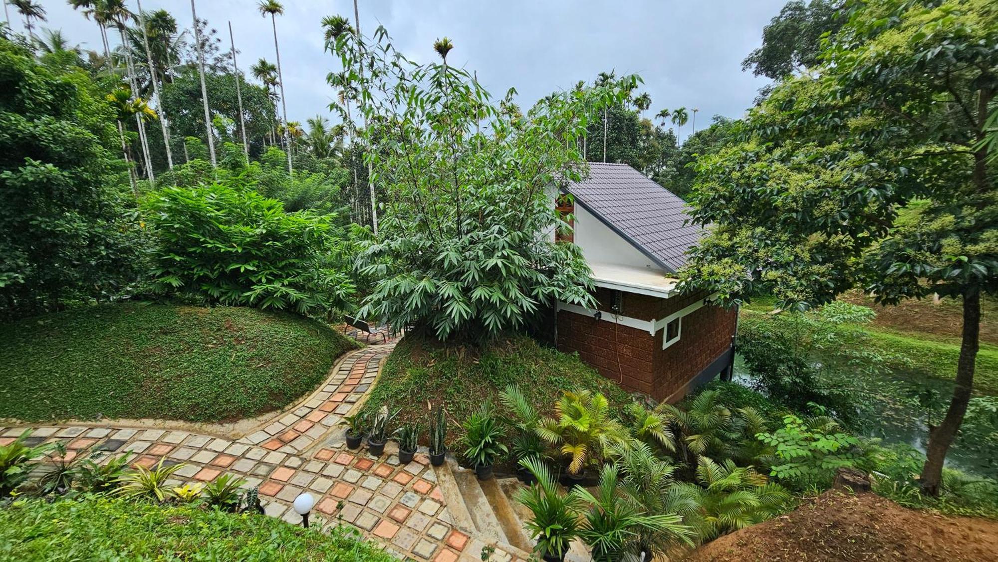 Casta Wild Resort Batheri Exterior photo